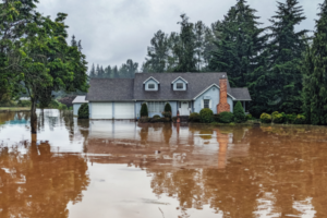 A home that was submerged in a flood had its insurance claim rejected.