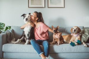 A person with multiple pets benefiting from discounts offered by insurers