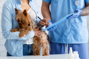 Closeup view of client with cute dog signing pet insurance policy at veterinarian clinic