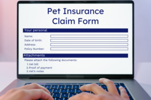 Pet owner submitting a pet insurance claim online with the vet's notes through a laptop