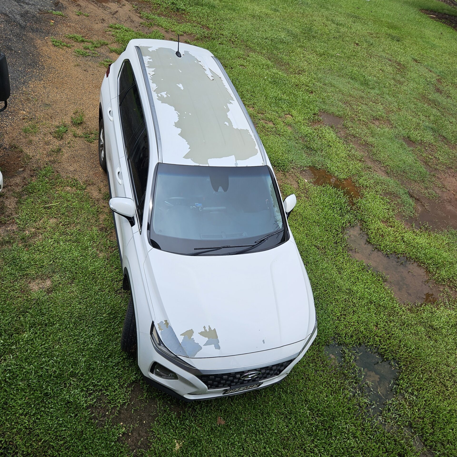 Hyundai peeling paint on roof