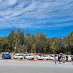 Line of Hyundai vehicles with visible peeling paint issues