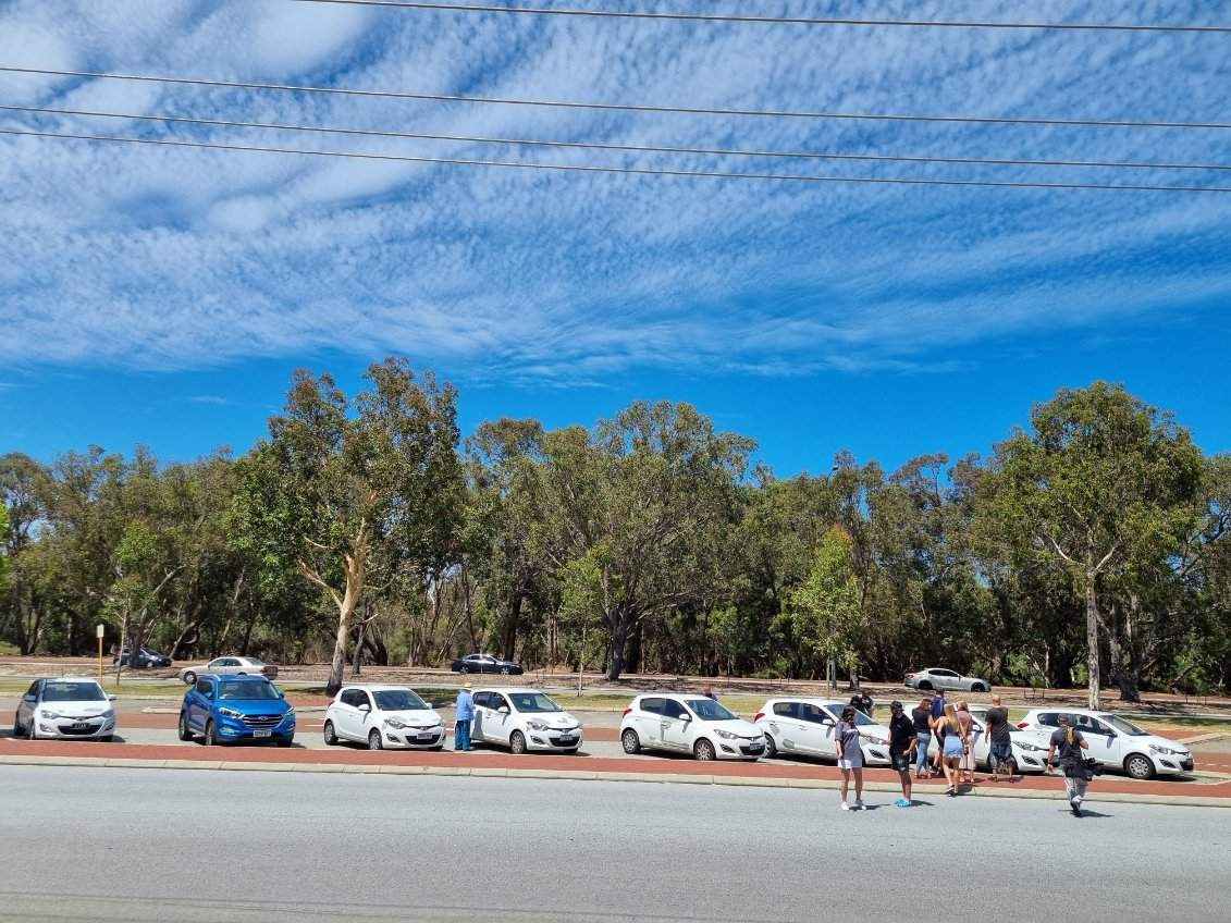 Line of Hyundai vehicles with visible peeling paint issues